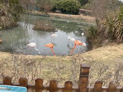 -宁波野生动物园
