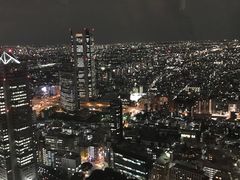 -东京都厅舍