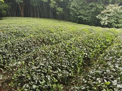 -敬亭山风景名胜区