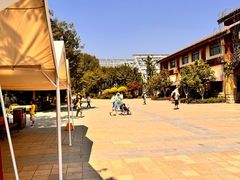 -南宫五洲植物乐园