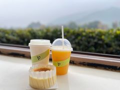 -白茶原·一片叶子