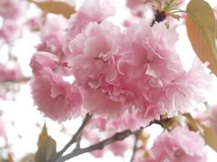 android_upload_pic-穹窿山景区