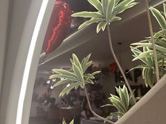 -LE SHARE洛笙·花园西餐(北京路步行街店)