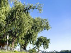 -长春市南湖公园