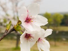 -同济大学(嘉定校区)