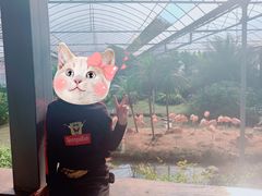 -无锡动物园·太湖欢乐园