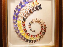 -广州白天鹅宾馆