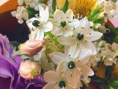 -杭州街角花屋花店(闻堰店)