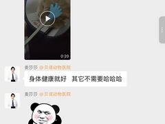 -博特宠物医院24h犬猫全科.骨科·异宠
