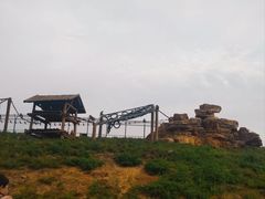 -石家庄市动物园