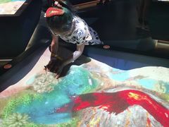 -珠海横琴国家地理探险家中心(创新方)