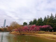 -白塘生态植物园