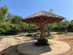-上海野生动物园