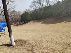 -云岗森林公园