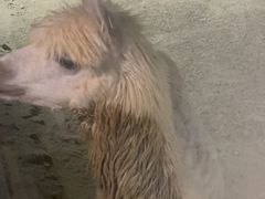 -杭州野生动物世界