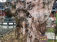-葛仙湖公园