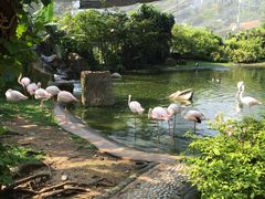 -吉隆坡雀鸟公园