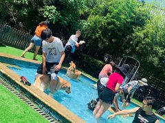 -汪说喵讲宠物乐园宠物酒店(红星美凯龙店)