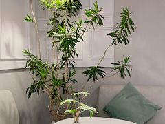 -潮一不贰·法式甜品·生日蛋糕·西式简餐(外滩店)