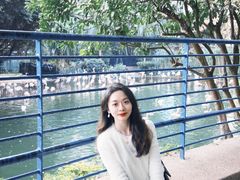 -九龙公园