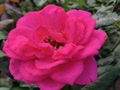 -人民公园(罗湖区)