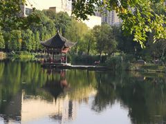 -枫香湖儿童公园