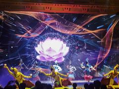 -唐乐宫歌舞剧院·餐厅