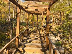 -大岭沟猕猴桃谷风景区
