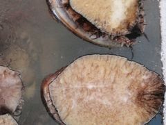 -宾朋海鲜特色美食餐厅·纯手工鲅鱼水饺(兴海路店)