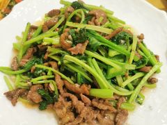 -陈胖子特色菜.鲜货现炒(融景城店)