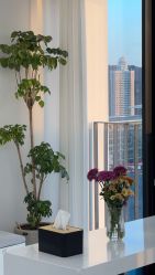 -Hello Lady发型设计