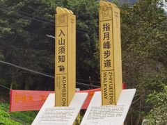 -南山植物园