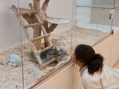 -宁波九龙湖开元度假村