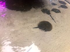 -石家庄海洋公园