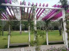-南宁花花大世界景区