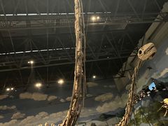 -自贡恐龙博物馆