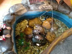 -御膳粥·牛乳粥底火锅·地道顺德菜(容桂店)