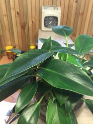 店内环境-i Style潮牌美发沙龙