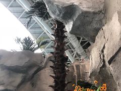 -天山海世界·米立方