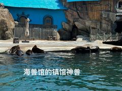 -大连老虎滩海洋公园