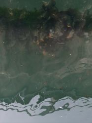 -星海水上乐园(星海广场圣亚店)