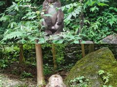 -西岭雪山大飞水景区