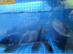 -湘君私厨.16年湘菜店(金匙望湖店)
