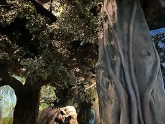 -嘉定博物馆