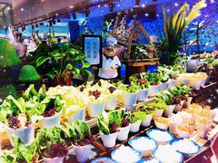 -乔哥铭洋海鲜自助(皇城恒隆广场店)