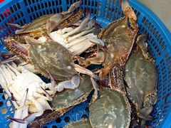 -金海湾海鲜排档(朱家尖店)