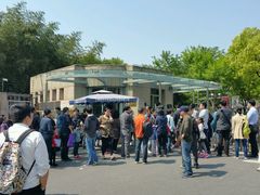 -上海市实验学校
