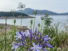 -宁波松兰山滨海旅游度假区