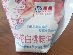 -天津海河华北乳品有限公司