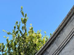 -北京古城老院厉晓麟精致菜